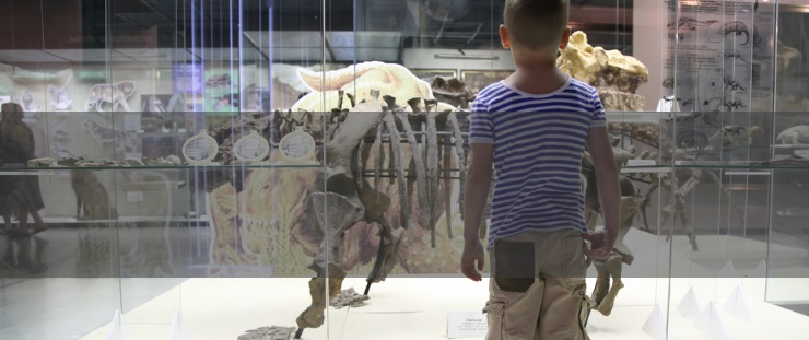Banner muzeum