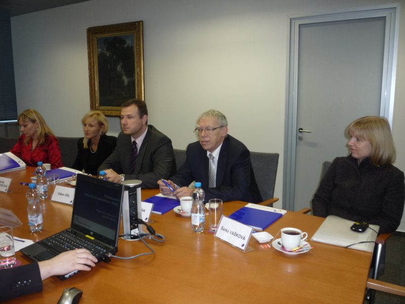 Delegace Národní rady Slovenské republiky při jednání na NKÚ